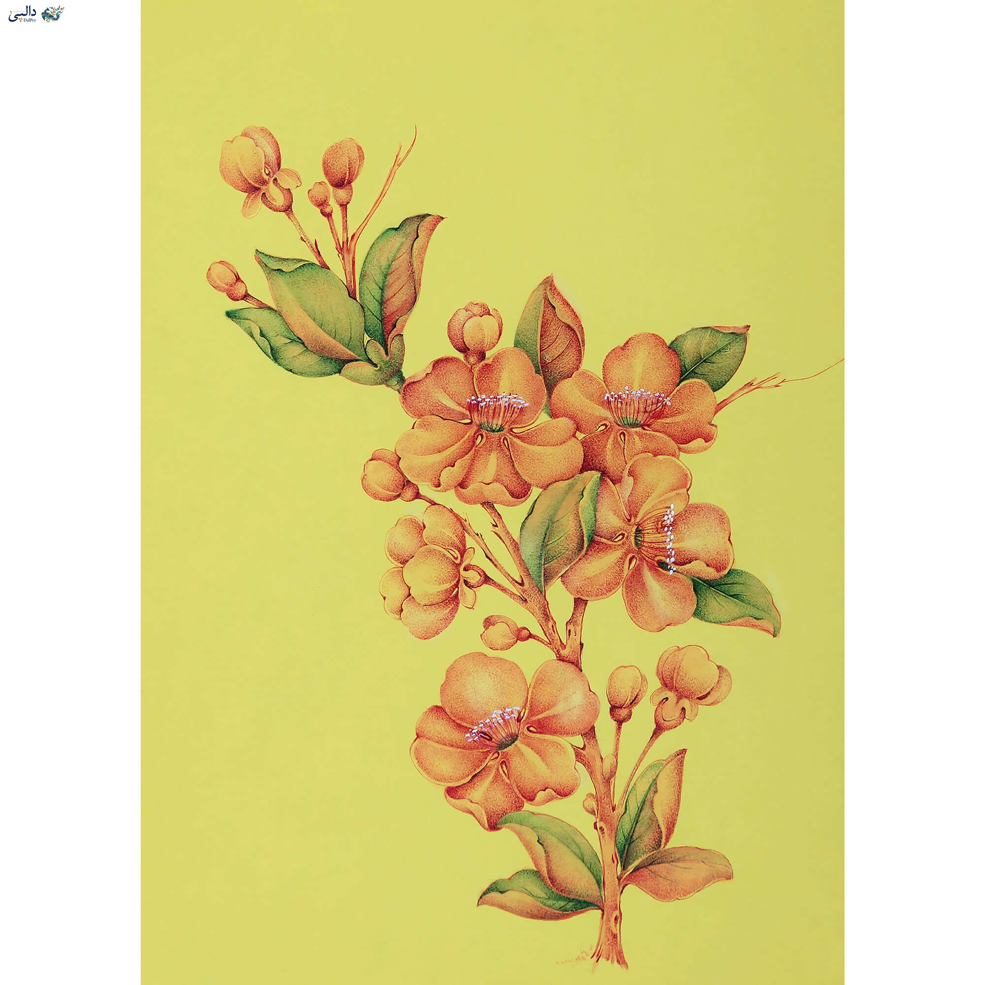 مینیاتور «شکوفهٔ بادام» اثر سیده ندا سیداشرفی – شاخه شکوفه بادام بهاری با تکنیک کامل پرداز نقطه‌ای آبرنگ در رنگ‌های گرم گلبهی و سبز روی کاغذ آهارمهره دست‌ساز – مجموعه گلستان ایران